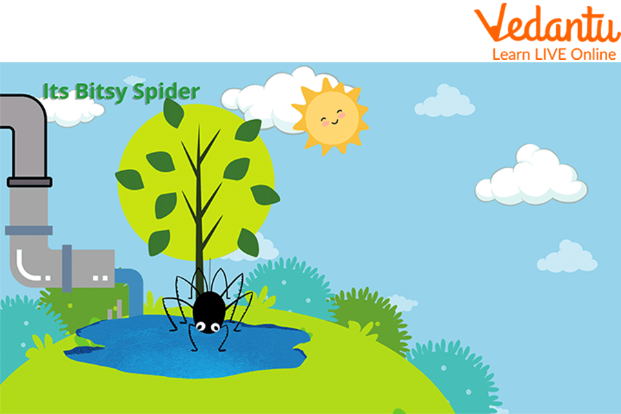 Itsy Bitsy Spider - song and lyrics by Itsy Bitsy Spider