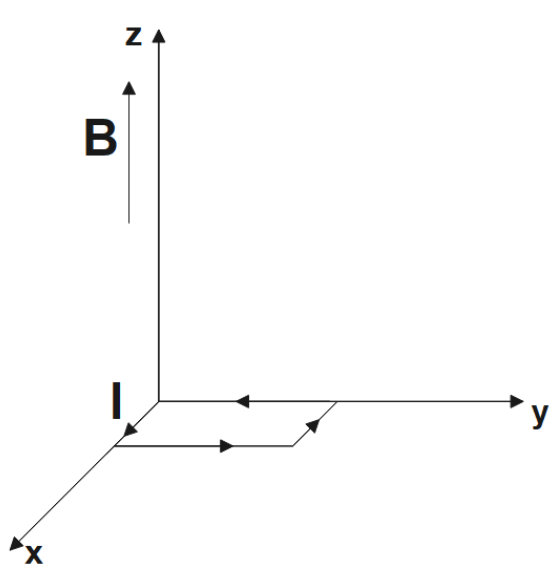 A rectangular current carrying loop placed in a xy plane with magnetic field in z-direction.