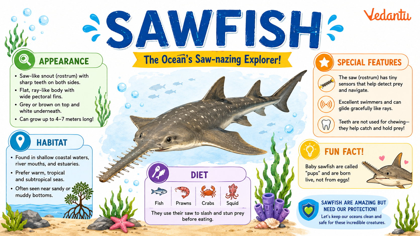 Sawfish with long saw-like snout swimming in ocean water