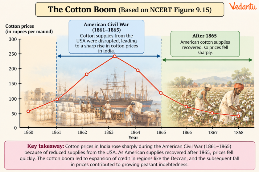 The Cotton Boom