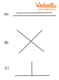 Type of lines (parallel, intersecting and perpendicular)