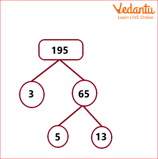 Factor tree of 195