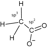 Acetate – Definition, Structure, Properties, Key Points and Fermentation