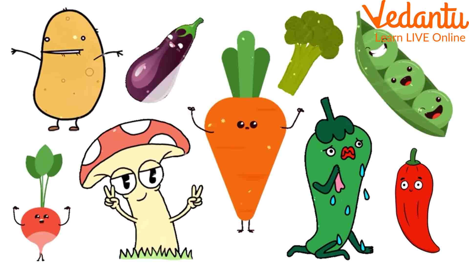 List of 10 Vegetable Names and Their Benefits for a Healthier Life