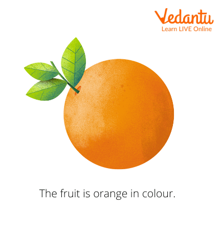 The Fruit is Orange in Colour