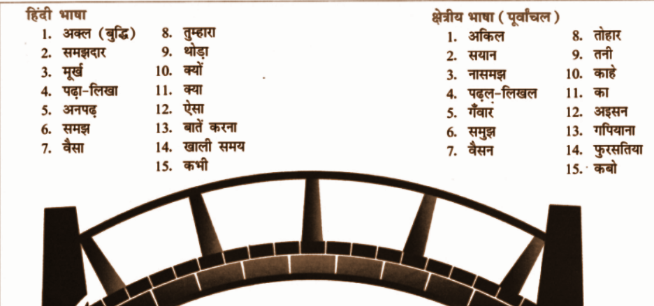 दोनों किनारों के बीच में ऐसे शब्द लिखिए जो दोनों भाषाओं में समान अर्थ रखते हैं