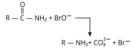 Reaction of Amide with Hypobromite