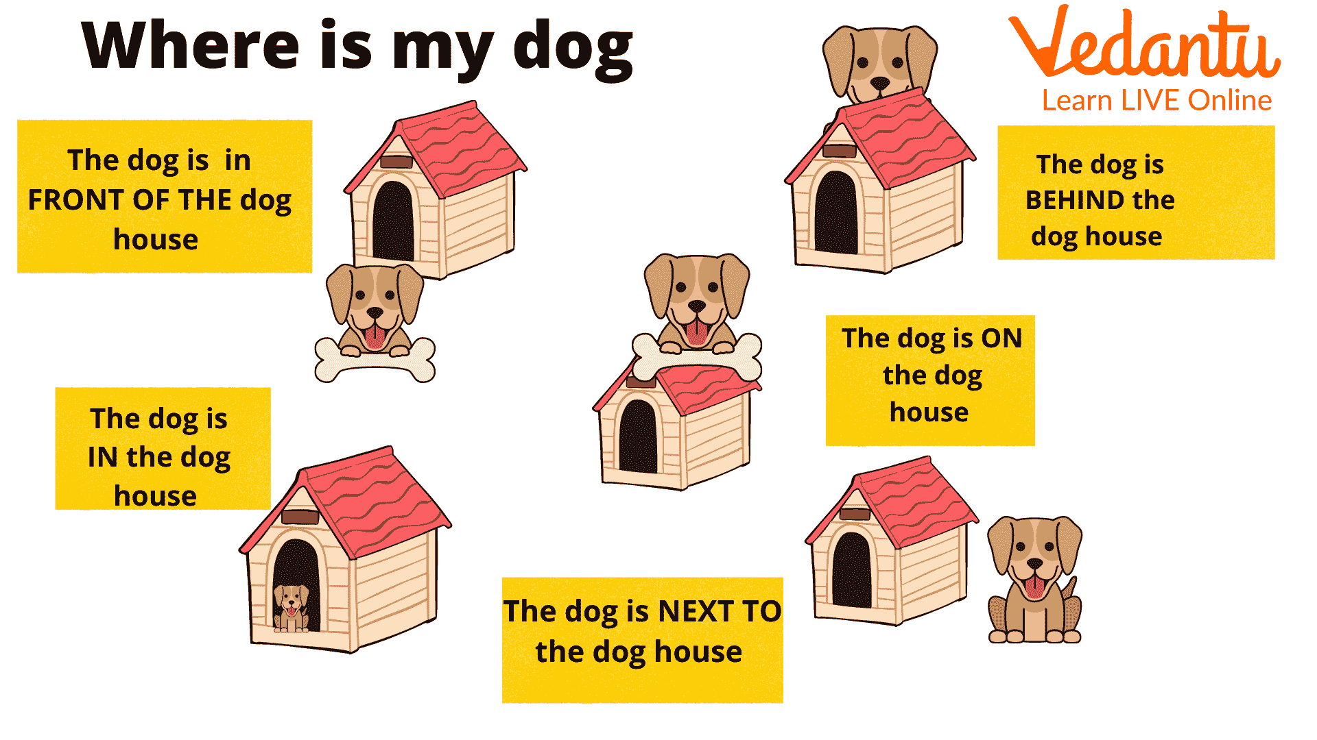 An example of the preposition on dog
