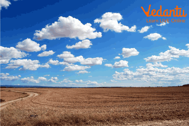 Cumulus clouds