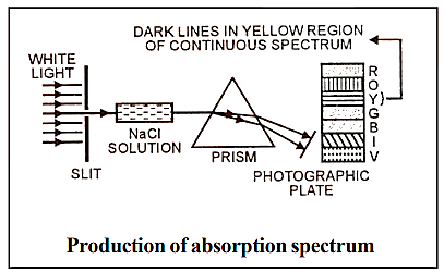 Absorption spectrum
