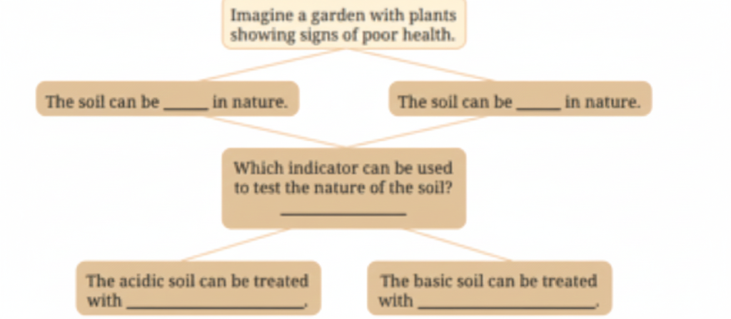 Observe and analyse the information given in the following flowchart. Complete the missing information