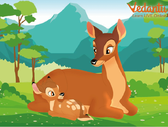 Bambi and Her Mother