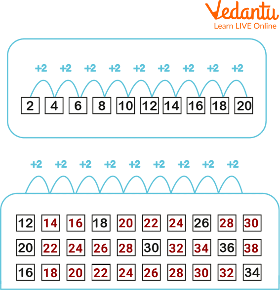 Counting in 2s worksheet