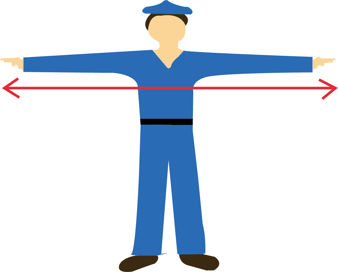 Arm Span of a Human Being