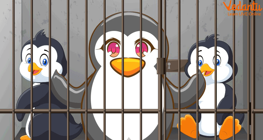 Penguins locked in the cage