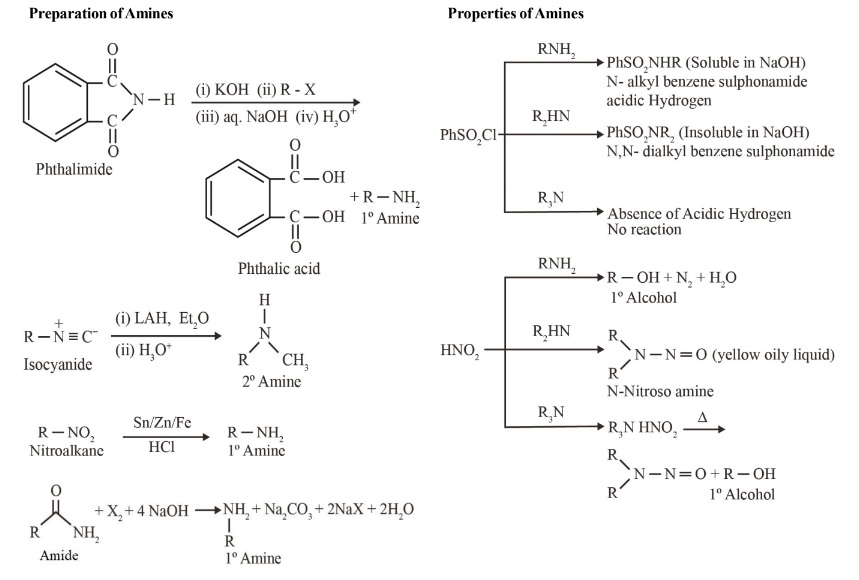 Preparation and Properties of Amines