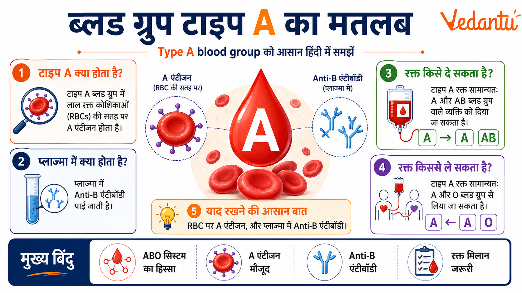 Blood Group Type A Means in Hindi
