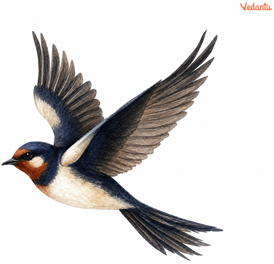 A flying bird, a person waving goodbye, or a setting sun.png
