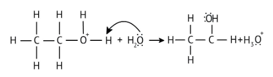Ethanol formation by deprotonation
