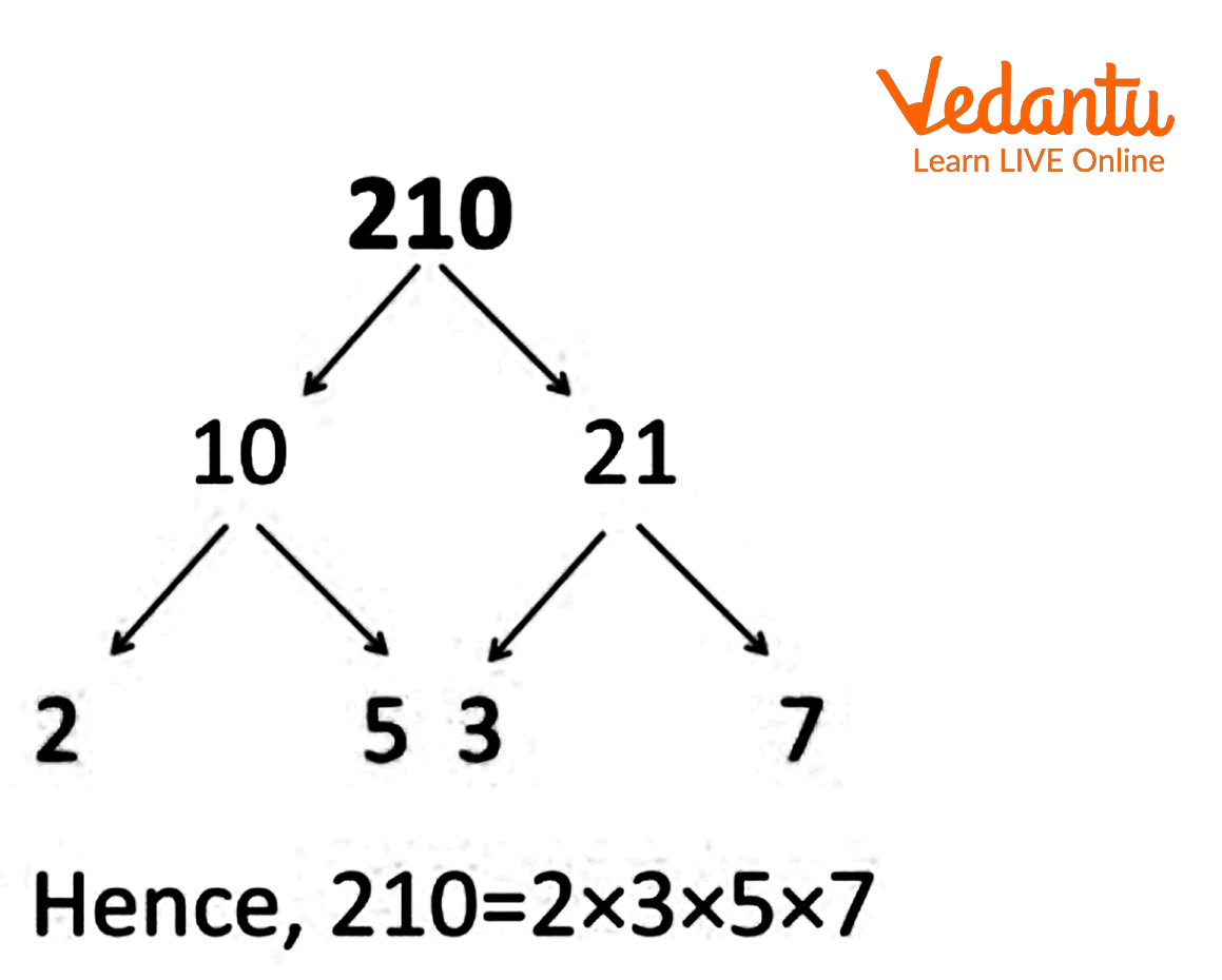 Factor tree