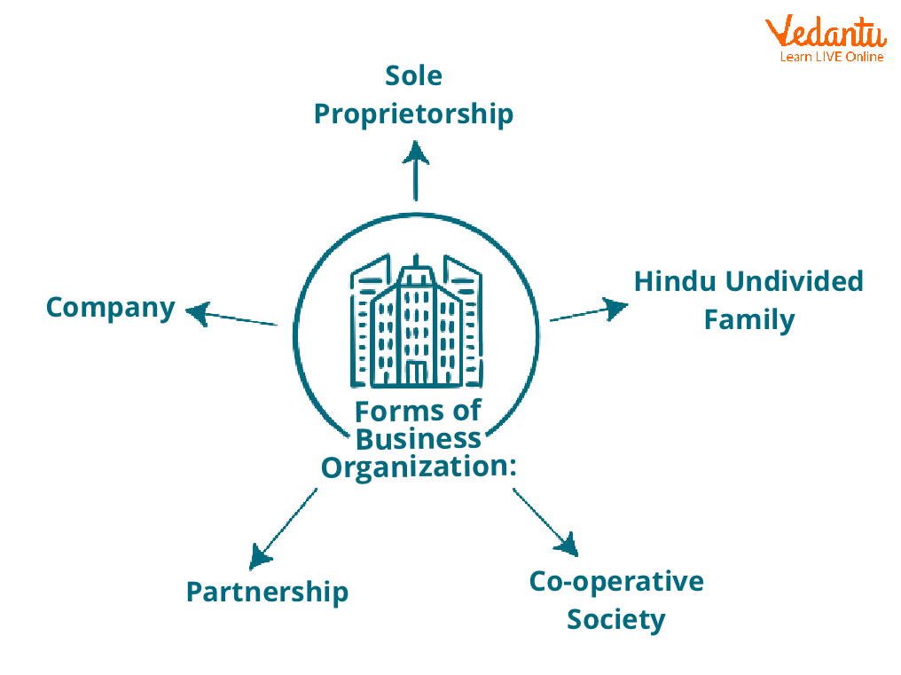 Business Organisations - Introduction, Types, Factors and Case Study