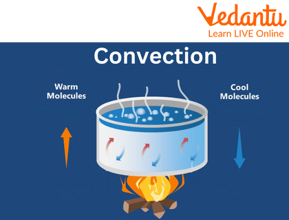 Convection