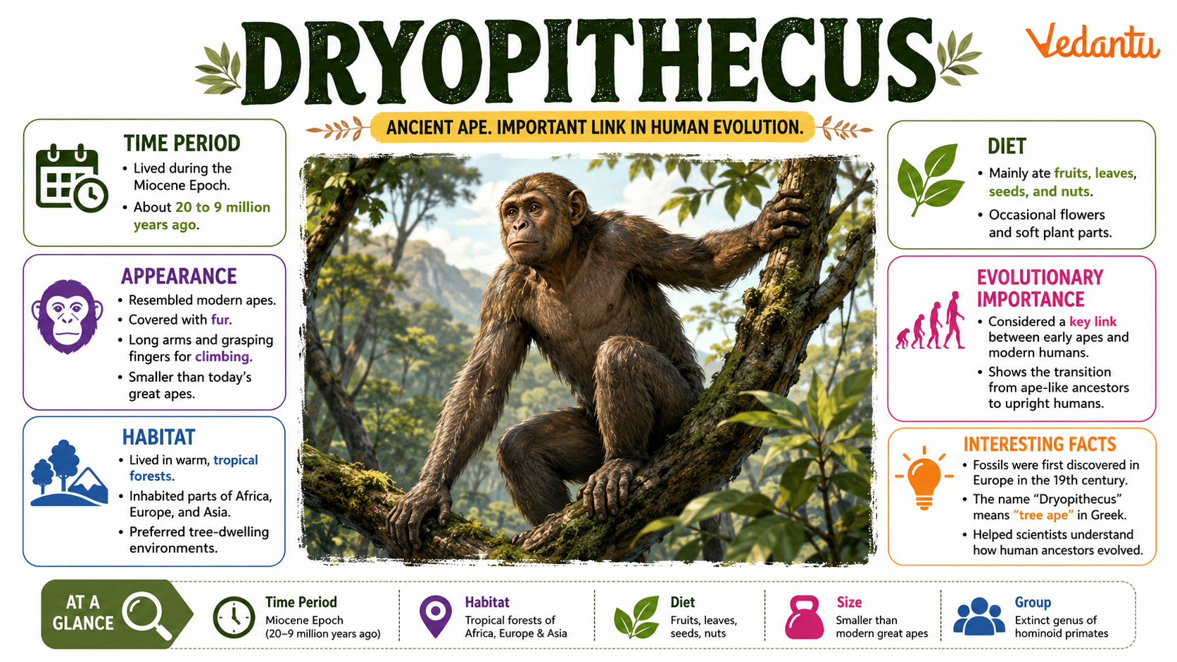 Dryopithecus prehistoric ape illustration