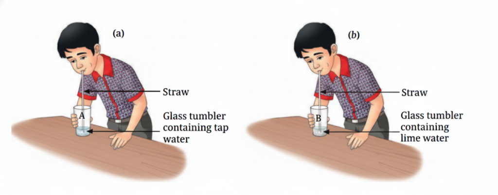 Carbon dioxide + Lime water (calcium hydroxide) → Calcium carbonate (milky) + Water
