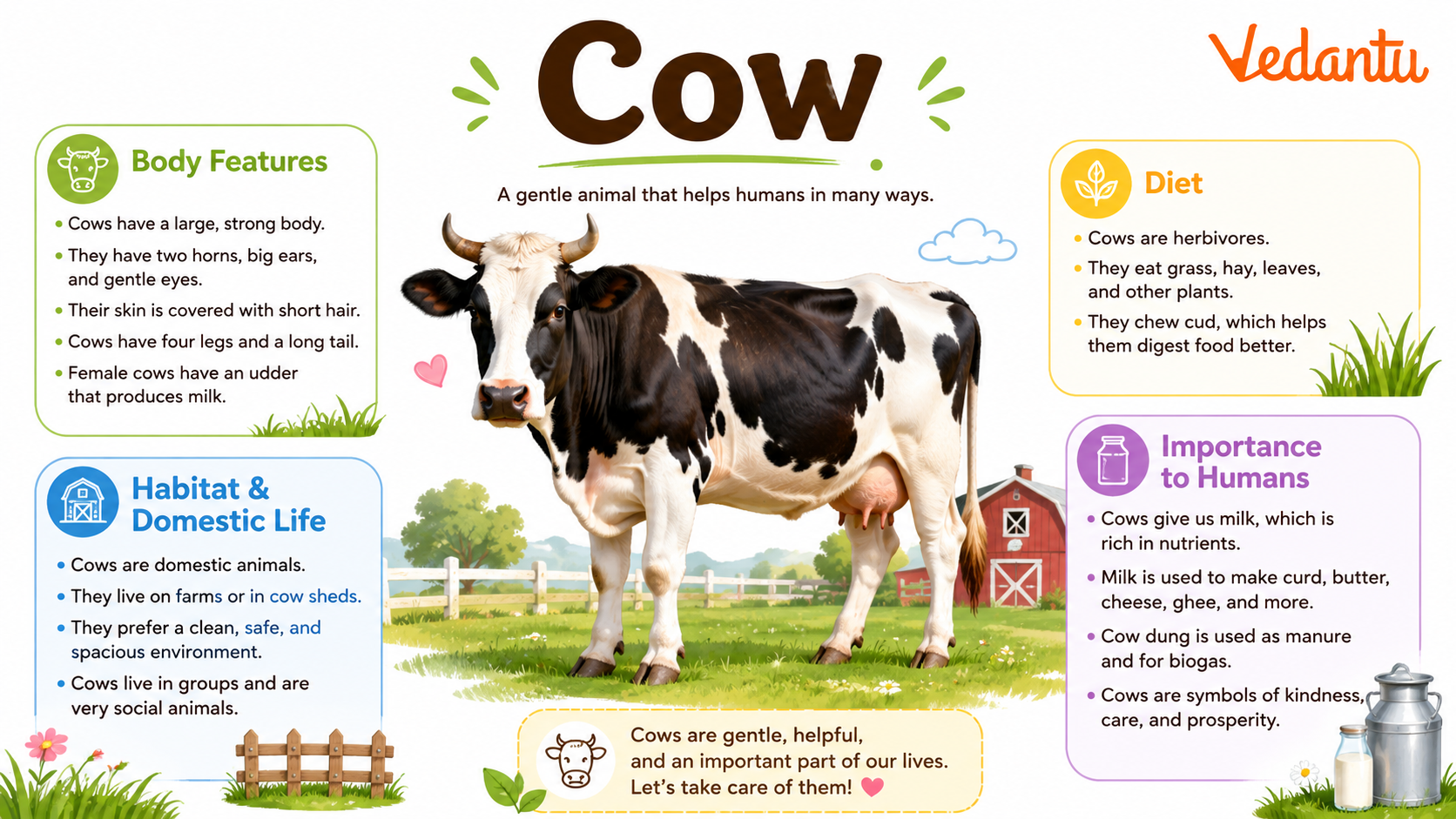 Cow domestic animal standing in field