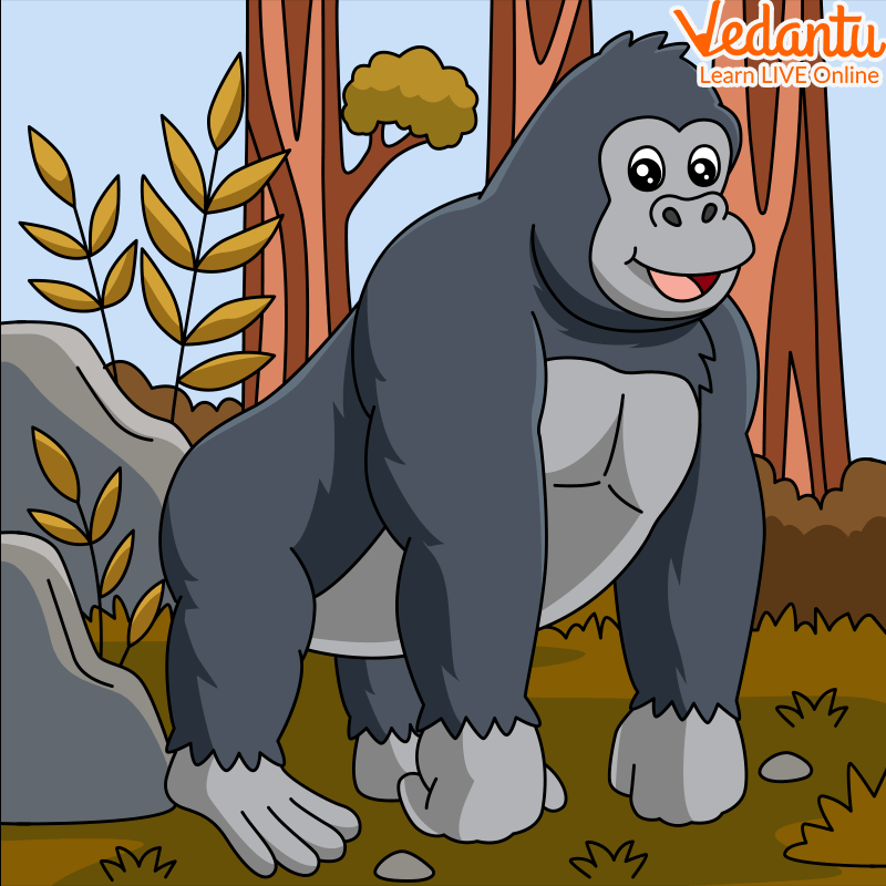 Grey gorilla