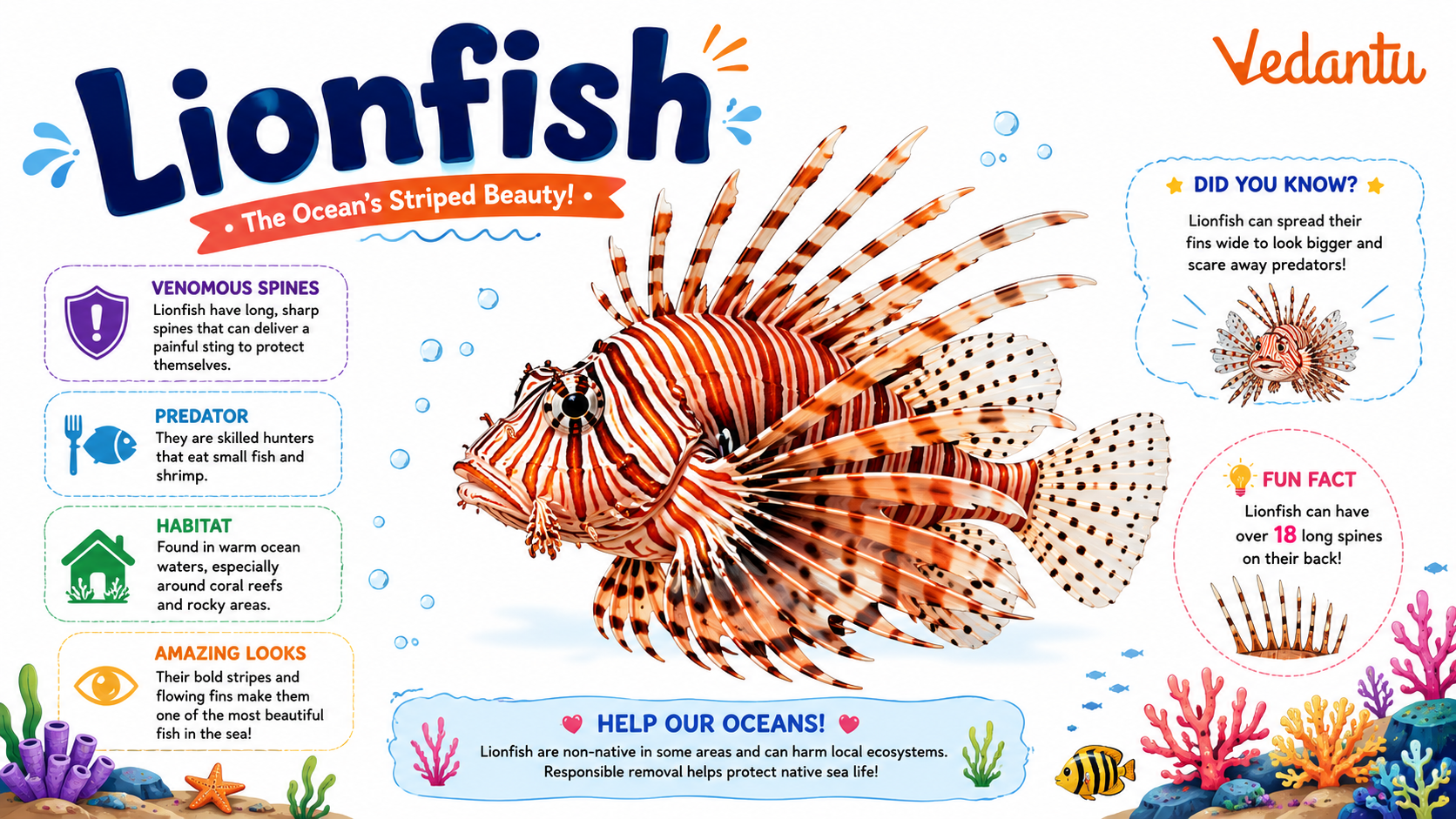 Lionfish with long venomous spines and red white stripes