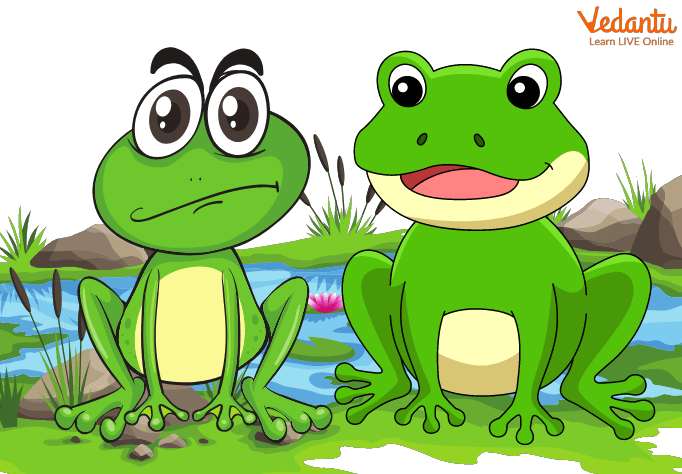 What Is The Story About Two Frogs