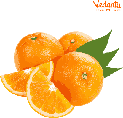 Bitter Oranges