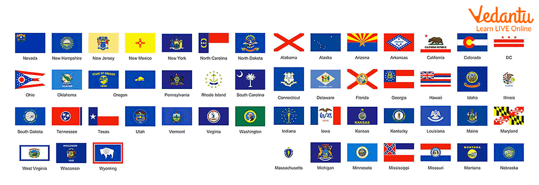 State Flags of the United States of America