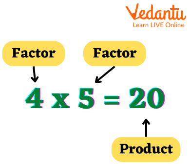 Different Terms of Multiplication