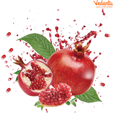 Pomegranate