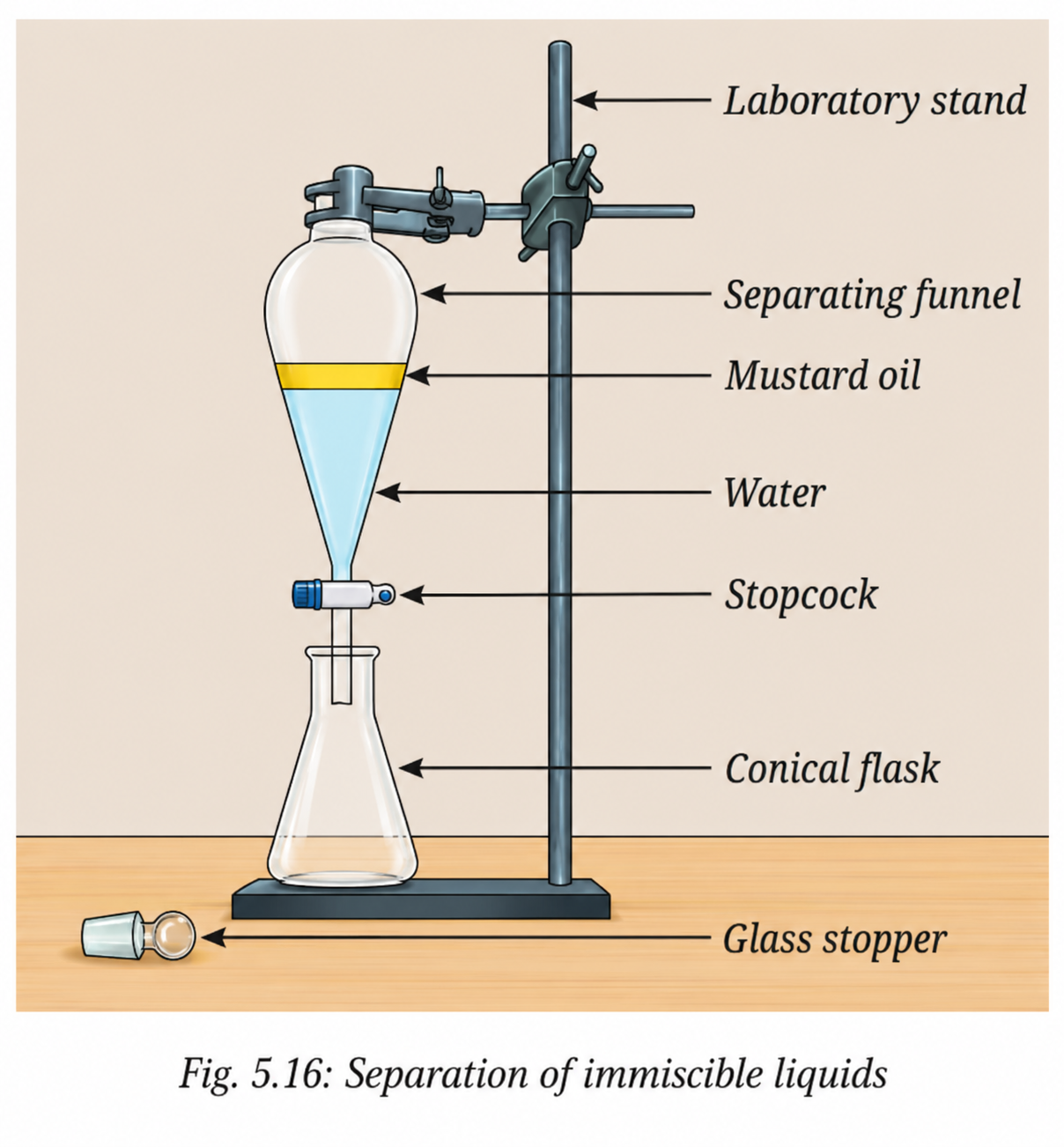 To separate two immiscible liquids (mustard oil and water) using a separating funnel..png