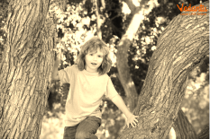 The little boy climbing up a tree