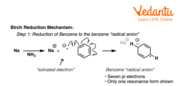 First Step of Birch Reduction of Benzene