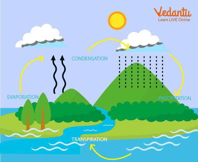 Evaporation's role in precipitation