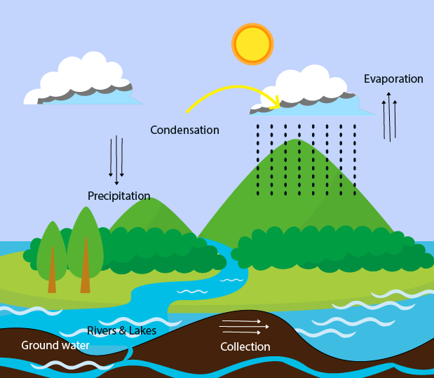 Water Cycle Diagram Class 6 At Jean Partain Blog