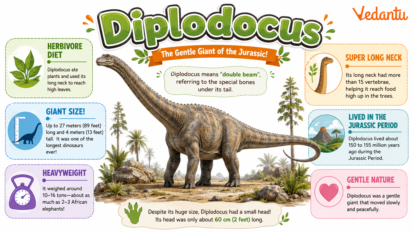 Diplodocus dinosaur illustration