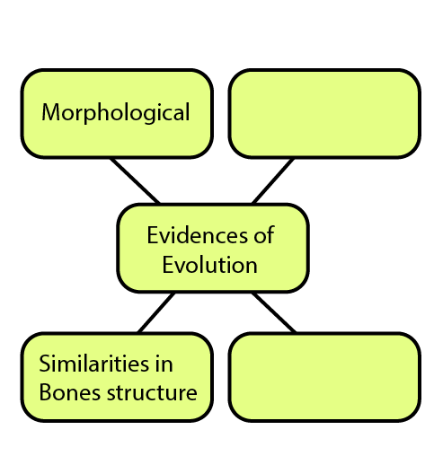 Palaeontological and Embryological