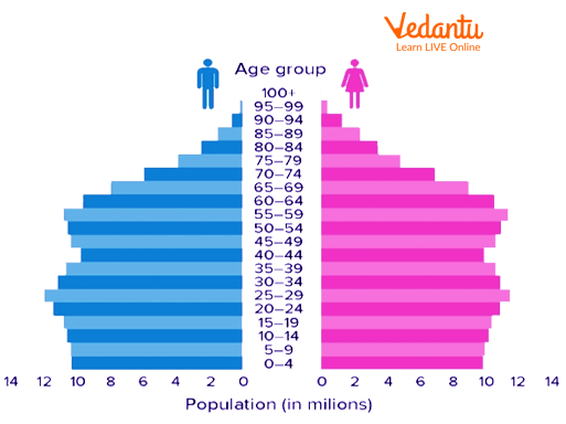 The Stable Population Pyramid