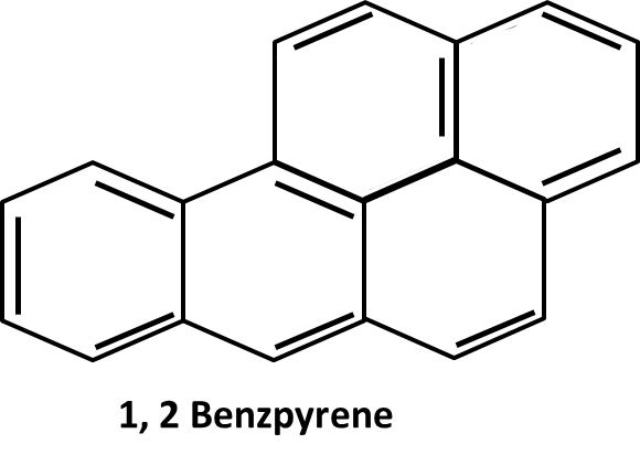 1,2 Benzpyrene