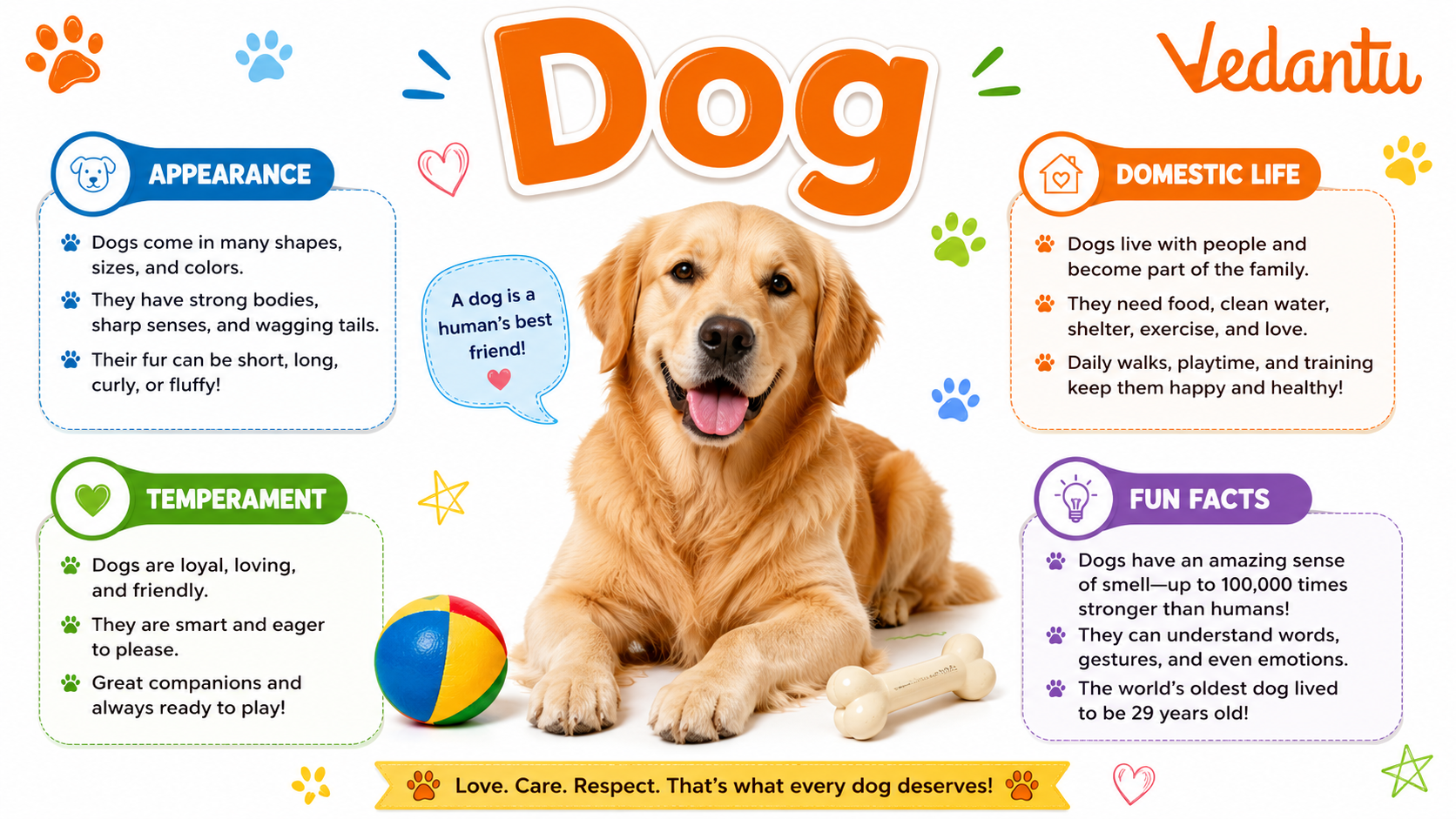 Dog