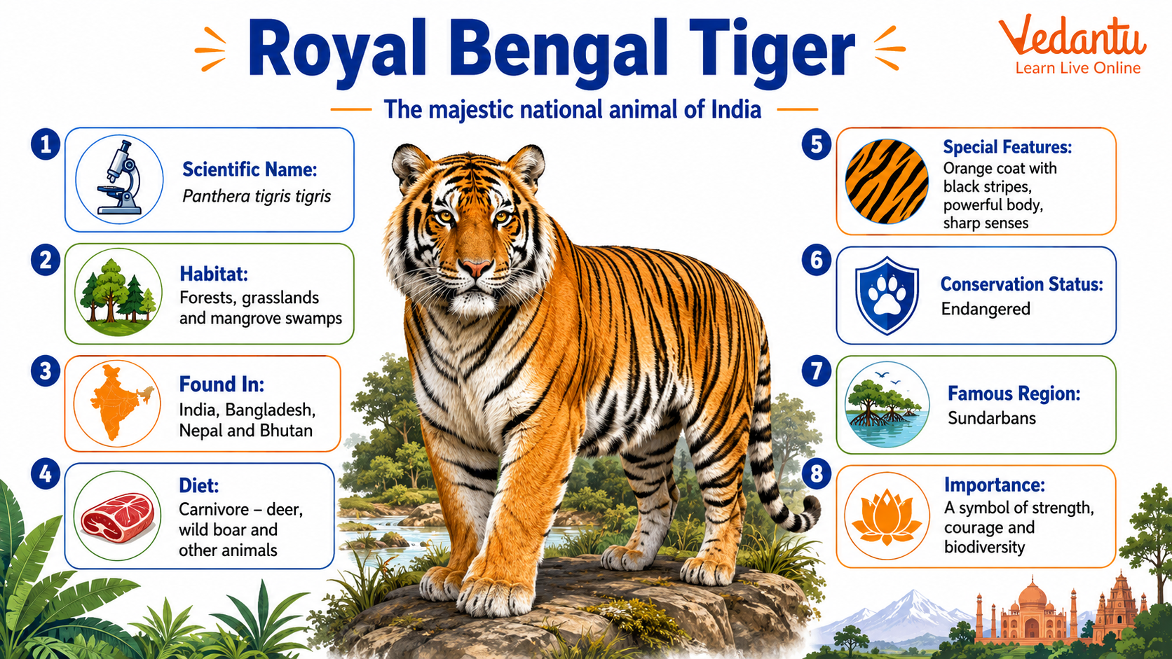Royal Bengal Tiger