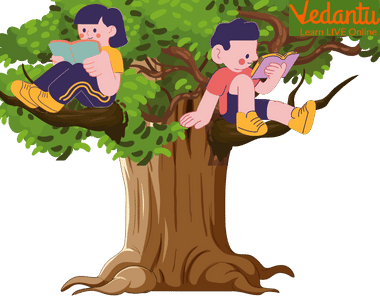 Children enjoying reading on a tree