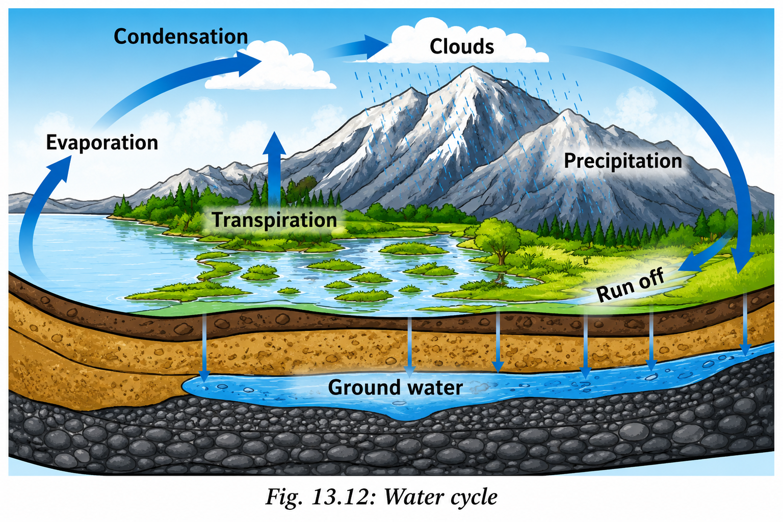 water cycle.png