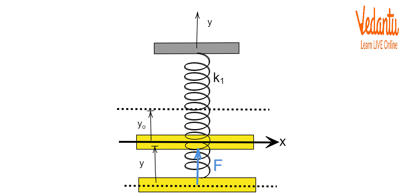 Vertical Block-Spring System
